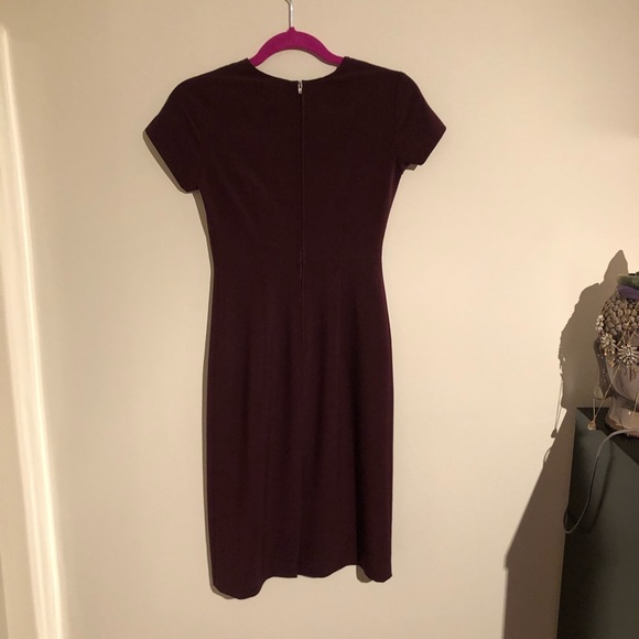 Aritzia Babaton Prosper Dress - Picture 5 of 5